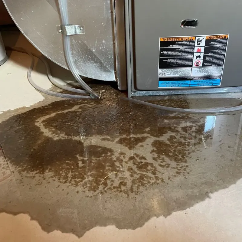 Pipe Burst and Leak Restoration in Saint Paul Park, MN